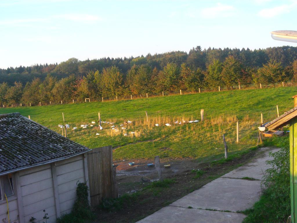 Hof Beuck Lägenhet Travenhorst Exteriör bild